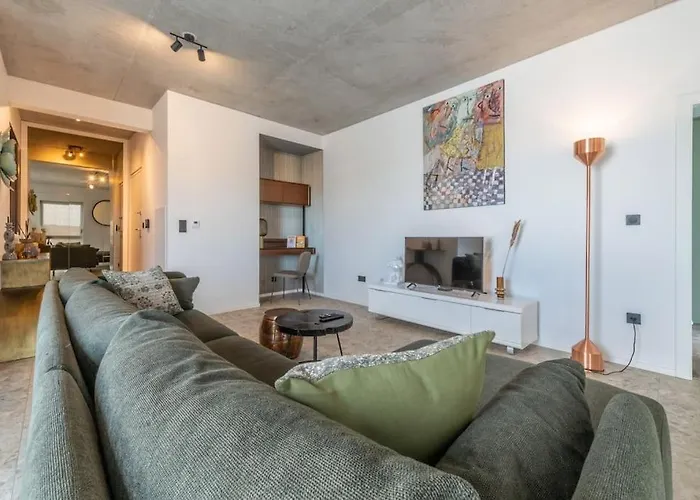 Haut De Gamme, Appt Entier, Vue Sur Tout Mulhouse